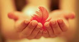 娇娇小产特护项目