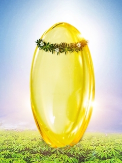 VegeGel素囊 天然木薯淀粉植物胶囊